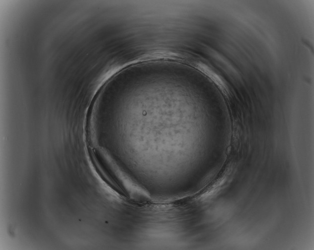 X0000093111055200709261246