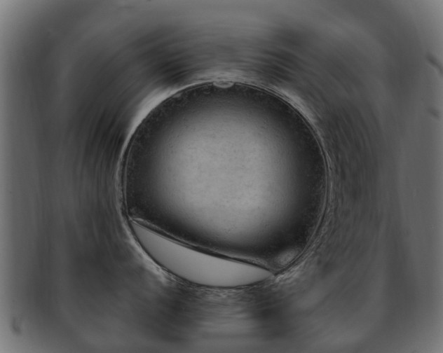 X0000093111056200709261246