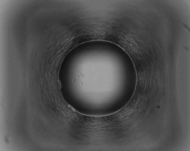 X0000093111057200709261246