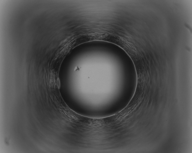 X0000093111058200709261246