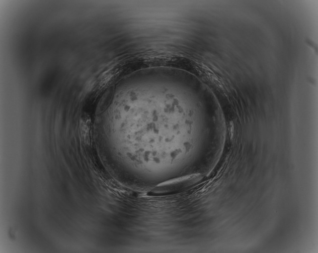 X0000093111059200709261246