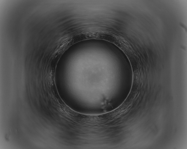 X0000093111060200709261246