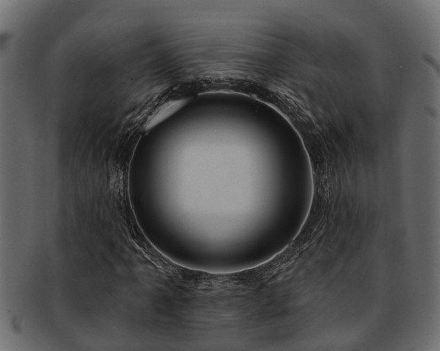 X0000093111061200709261246