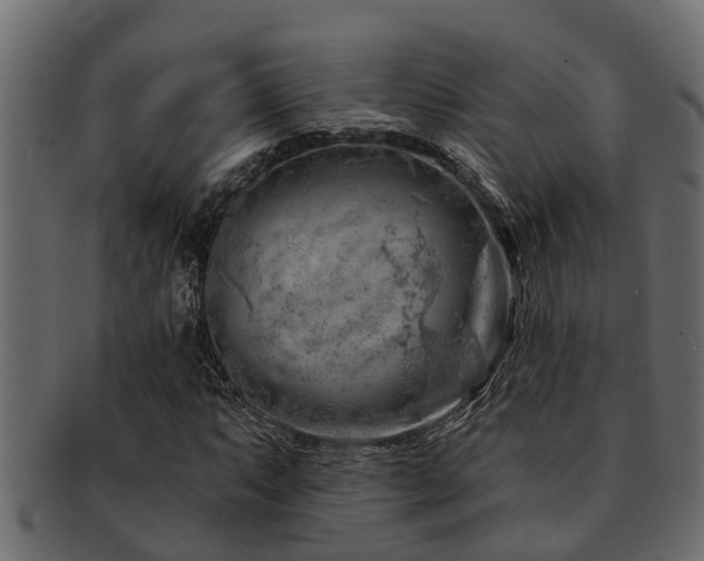 X0000093111063200709261246