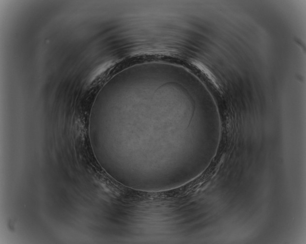 X0000093111064200709261246
