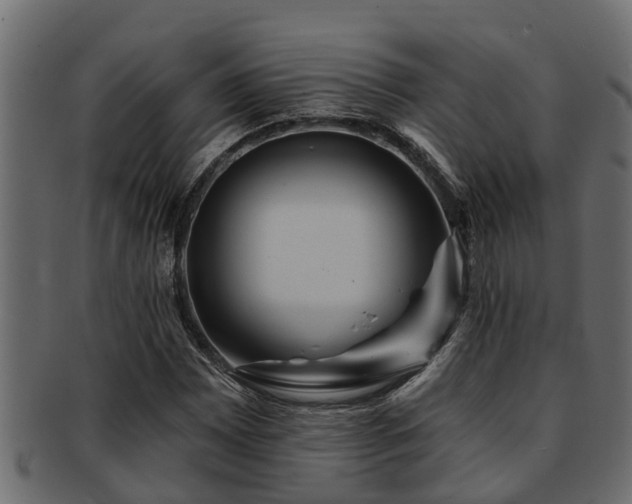 X0000093111065200709261246