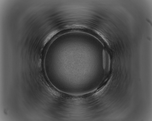 X0000093111066200709261246