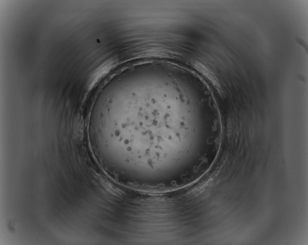 X0000093111067200709261246