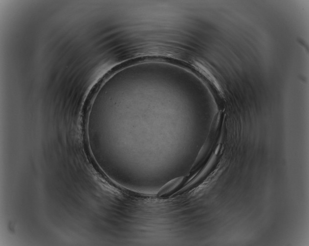 X0000093111068200709261246