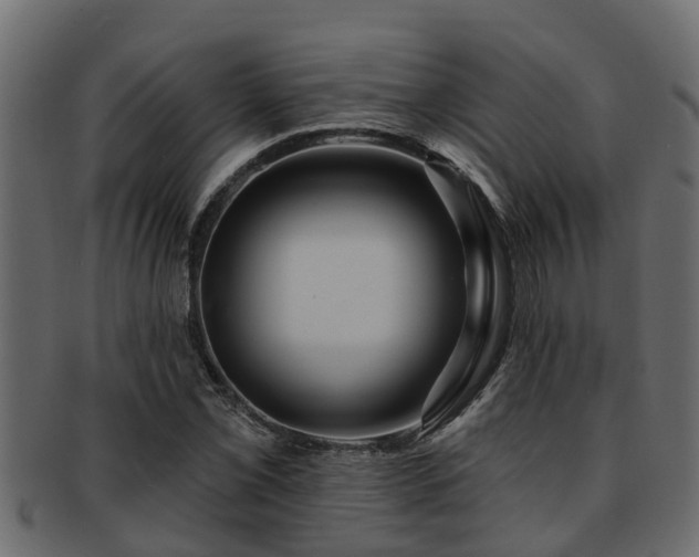 X0000093111069200709261246