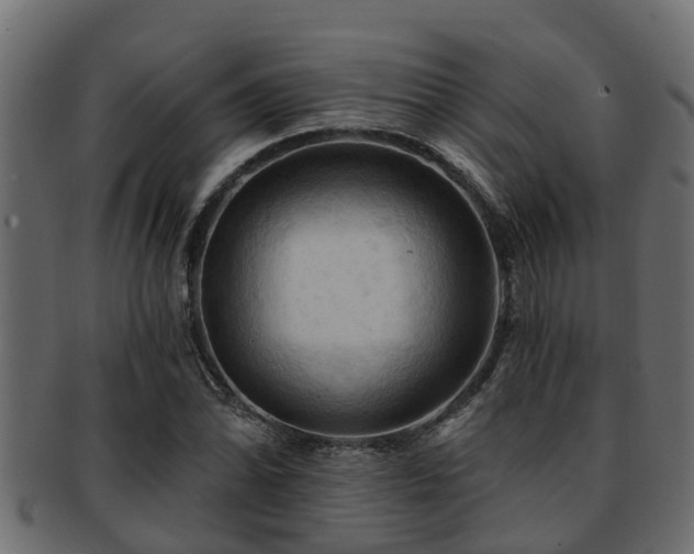 X0000093111070200709261246