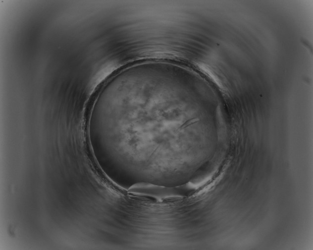 X0000093111071200709261246