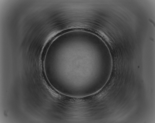 X0000093111072200709261246