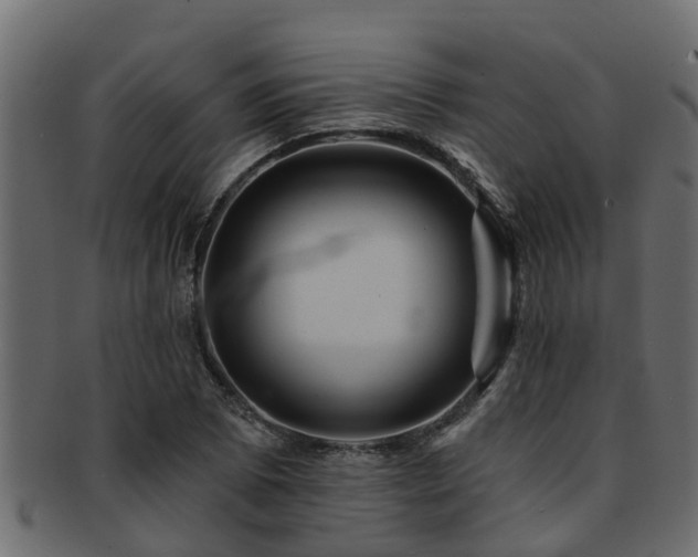 X0000093111073200709261246