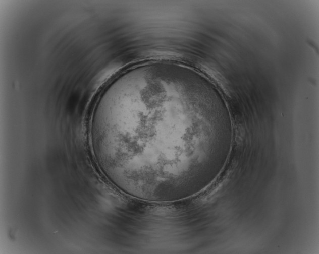 X0000093111074200709261246