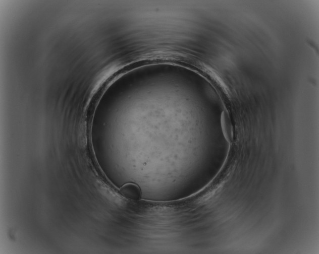 X0000093111075200709261246