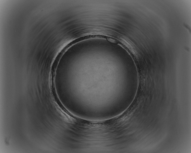 X0000093111076200709261246