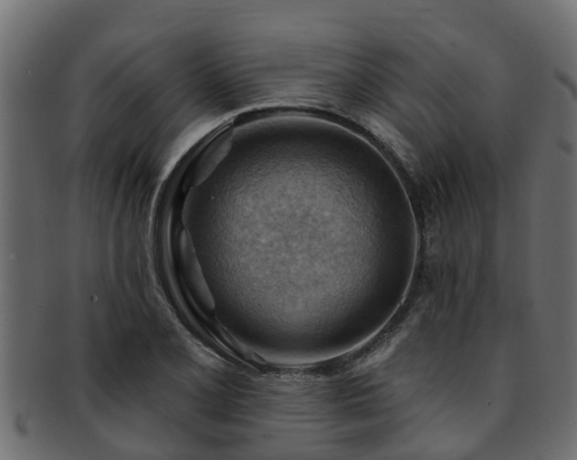 X0000093111077200709261246