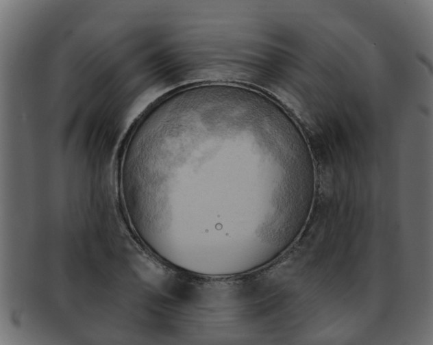 X0000093111078200709261246