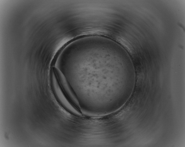 X0000093111079200709261246