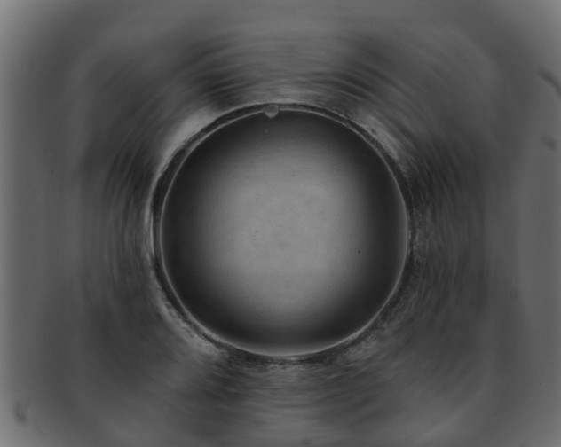 X0000093111080200709261246