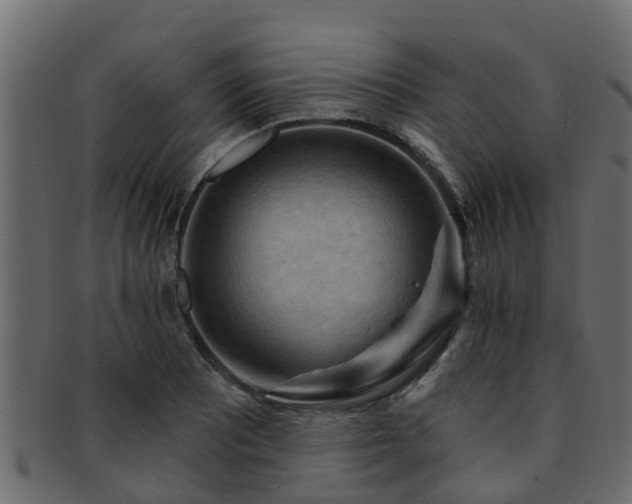 X0000093111081200709261246