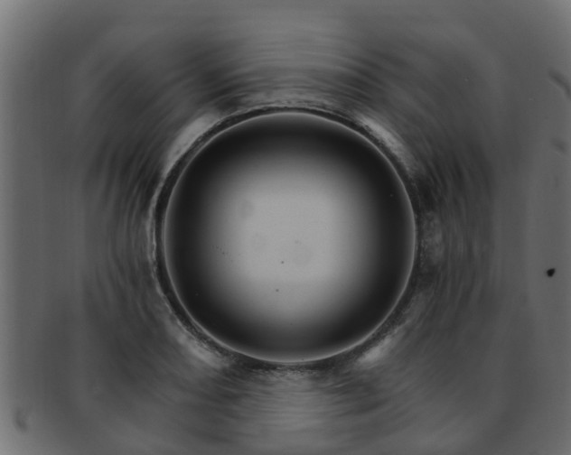 X0000093111082200709261246