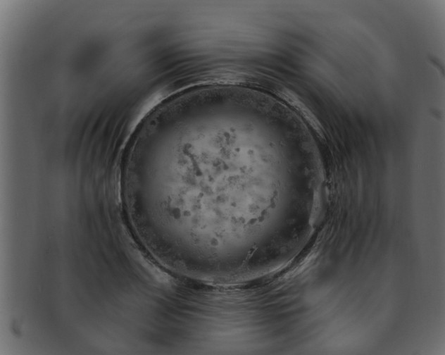 X0000093111083200709261246