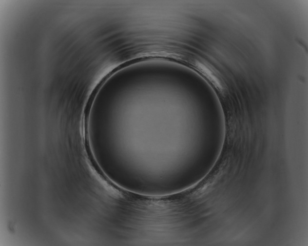 X0000093111084200709261245