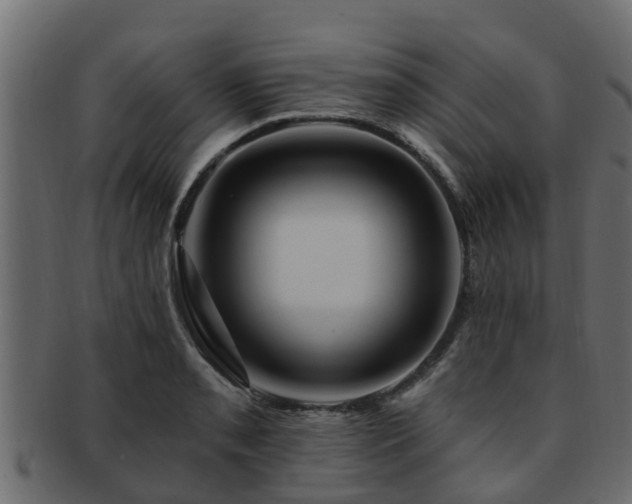 X0000093111085200709261245