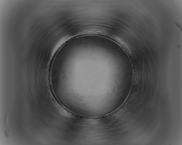 X0000093111086200709261245