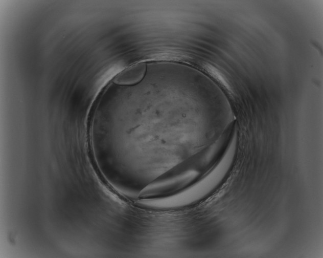 X0000093111087200709261245
