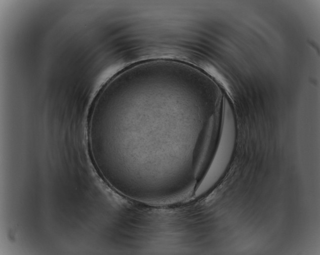 X0000093111088200709261245
