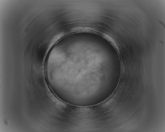 X0000093111090200709261245