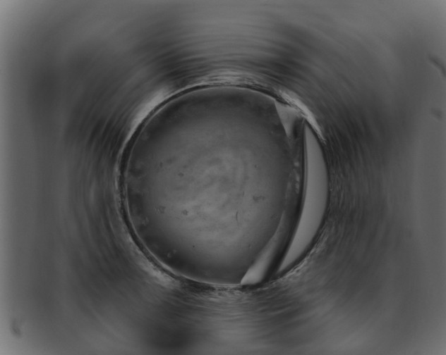 X0000093111091200709261245