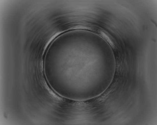 X0000093111092200709261245