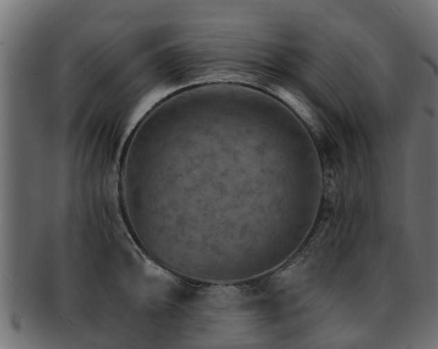 X0000093111094200709261245