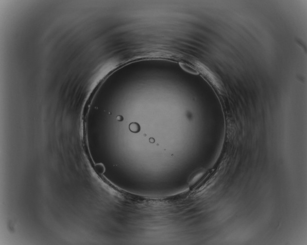 X0000093111095200709261245
