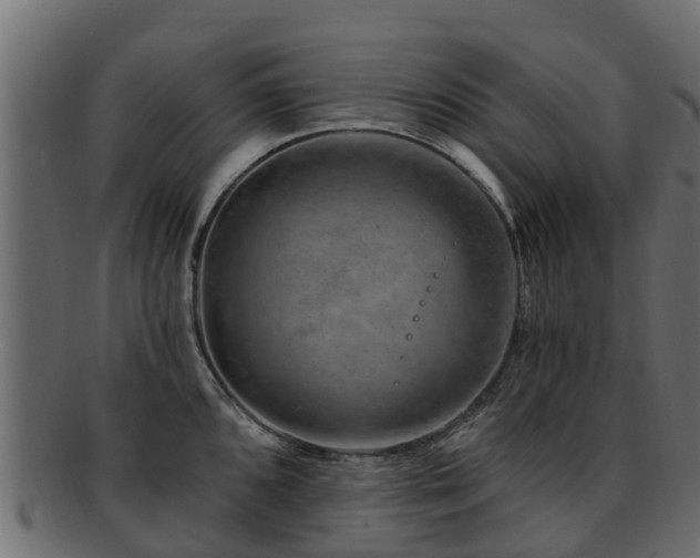 X0000093111096200709261245