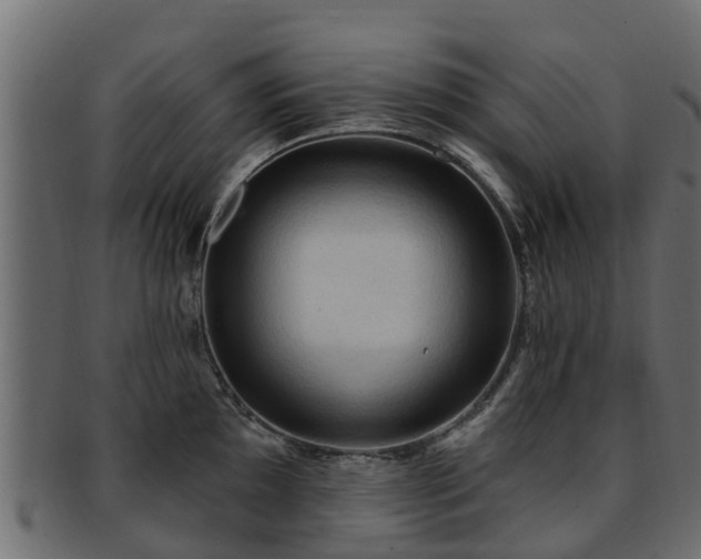 X0000093111097200709261245