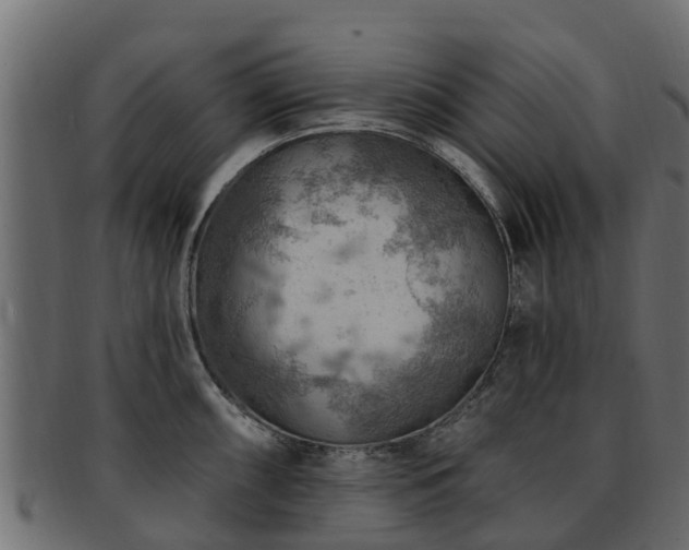 X0000093111098200709261245