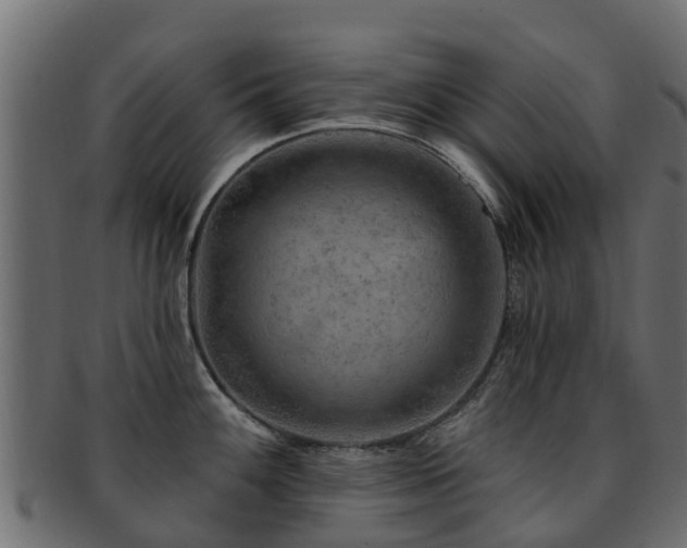 X0000093111100200709261245
