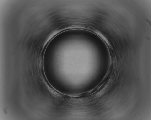 X0000093111101200709261245