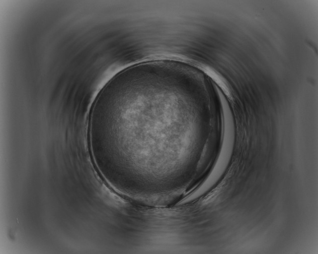 X0000093111102200709261245
