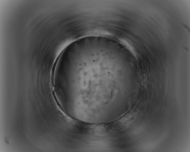 X0000093111103200709261245