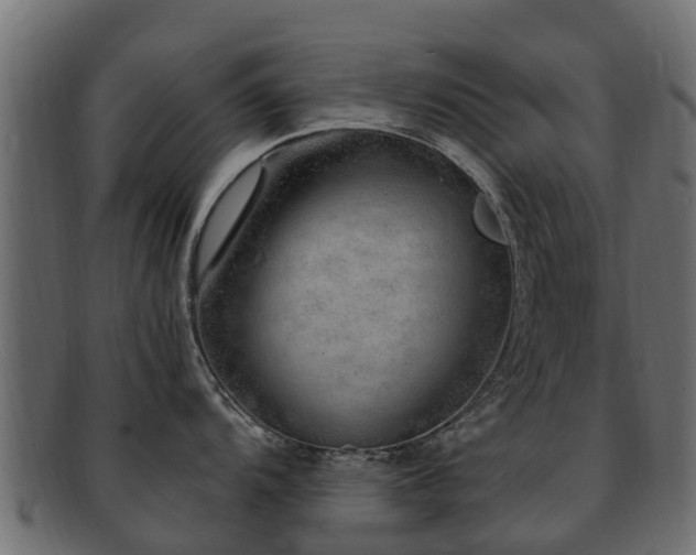 X0000093111104200709261245