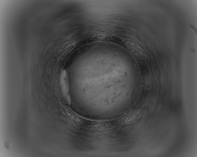 X0000093111105200709261245