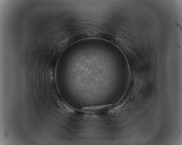X0000093111106200709261245