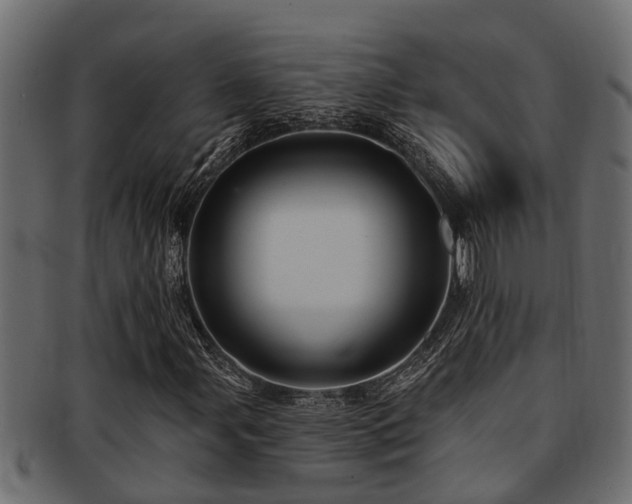 X0000093111107200709261245