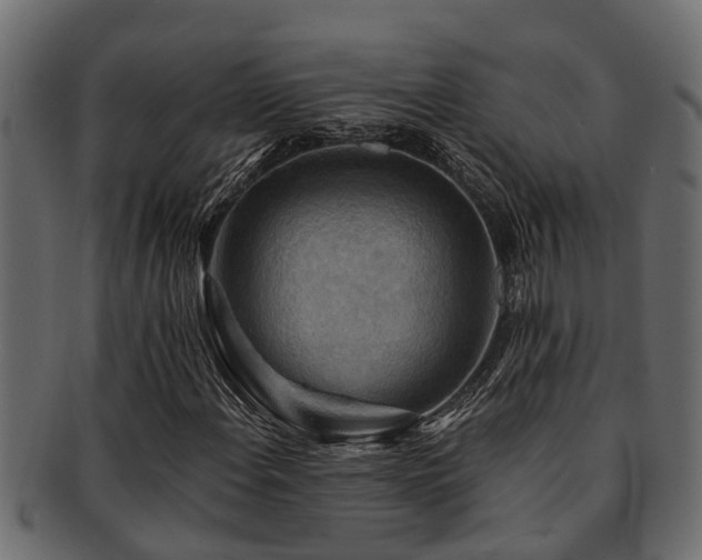 X0000093111108200709261245